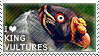 A stamp of an image of a king vulture with the text I love king vultures